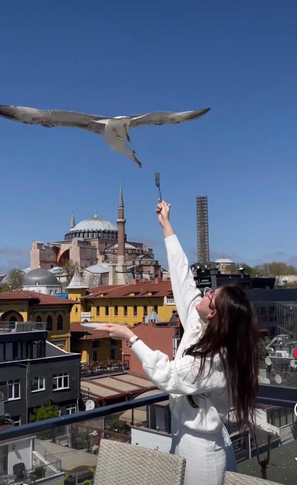 Byzantium Comfort Hotel Isztambul Kültér fotó